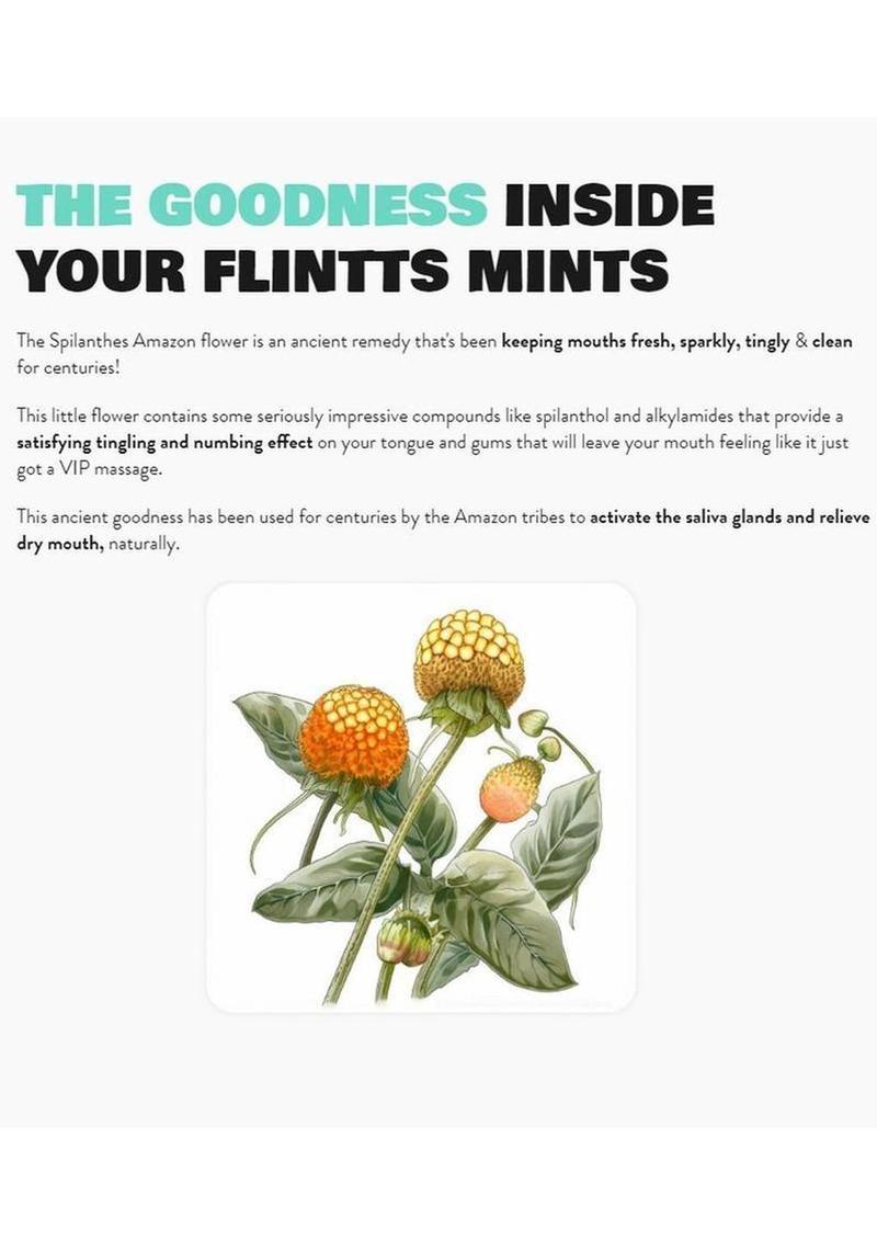 Flintts Mints Mouth Watering Oral Delights | Spearmint