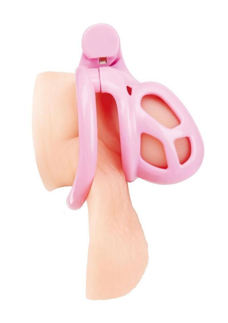 Blueline Small Humiliation Acrylic Prisoner Cock Cage