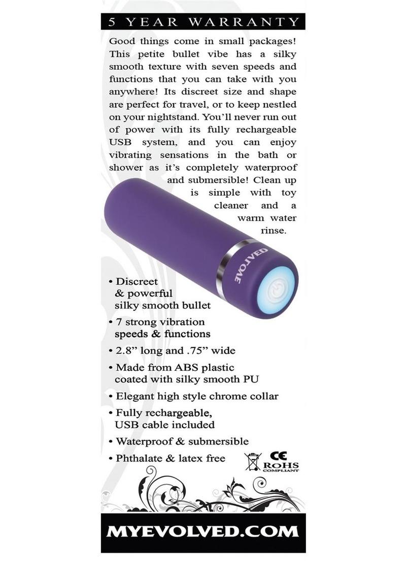 Purple Passion Rechargeable Silky Smooth Bullet Vibrator